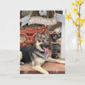 ようこそ、引退したラッキー・ドッグへ カード (黄色い花)