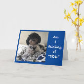 ***よおもしろい感じり良い***カード カード (黄色い花)