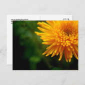 よくある美しいポストカード(mum) ポストカード (正面/裏面)