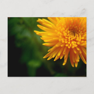 よくある美しいポストカード(mum) ポストカード