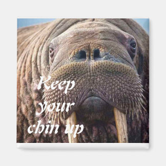 よくない悔やみや弔慰カード：ホスピスまたは病気 マグネット