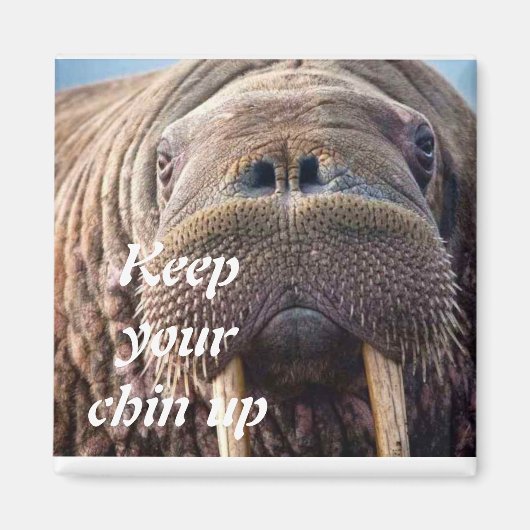 よくない悔やみや弔慰カード:ホスピスまたは病気 マグネット (正面)