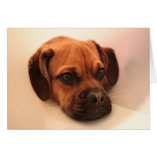 よくなって下さい (正面横)