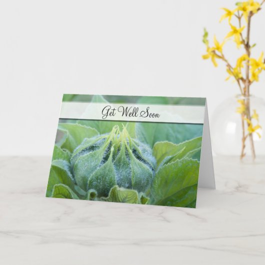 よくぬれたヒマワリの芽のクローズアップ写真 カード (黄色い花)