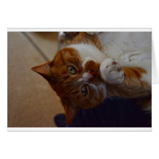 よくはしゃぐなニクズク