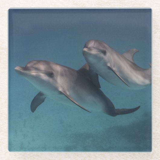 よくはしゃぐな姿勢 ガラスコースター (正面)