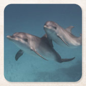 よくはしゃぐな姿勢 スクエアペーパーコースター (正面)