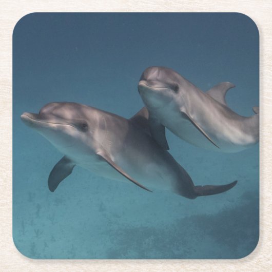 よくはしゃぐな姿勢 スクエアペーパーコースター (正面)