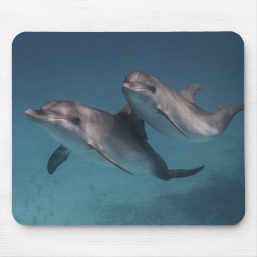 よくはしゃぐな姿勢 マウスパッド (正面)