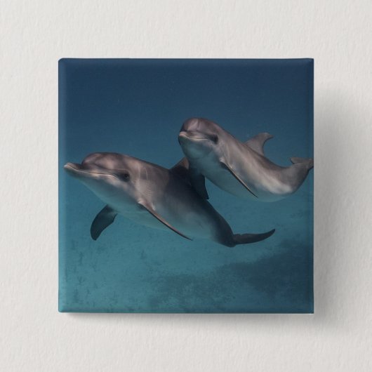 よくはしゃぐな姿勢 缶バッジ (正面)