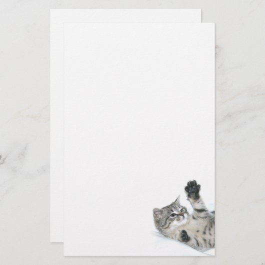 よくはしゃぐな子ネコ 便箋 (正面/裏面)