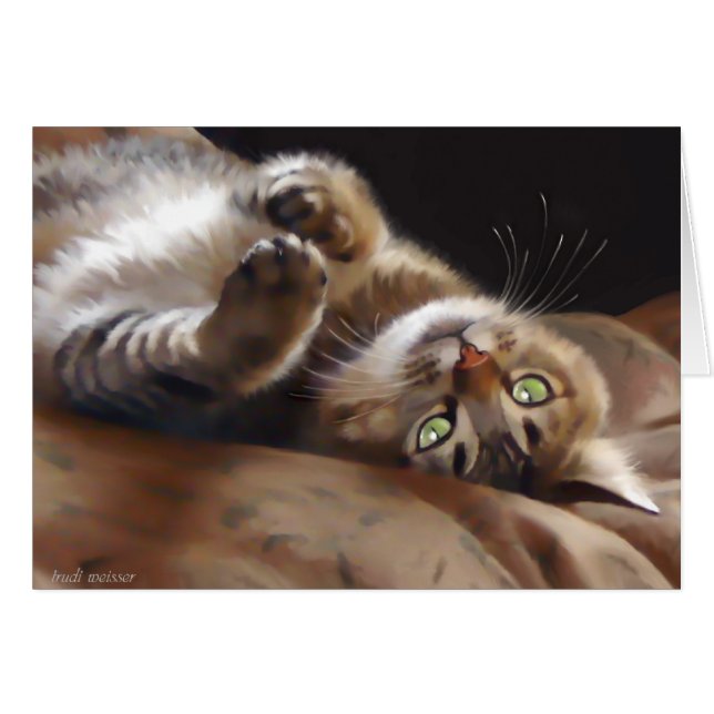 よくはしゃぐな子猫 (正面横)