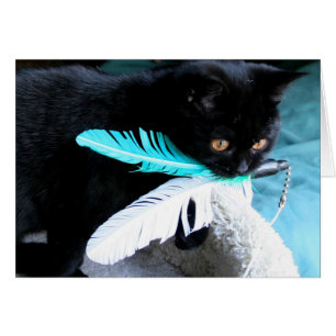 よくはしゃぐな猫は羽のおもちゃをつかまえます