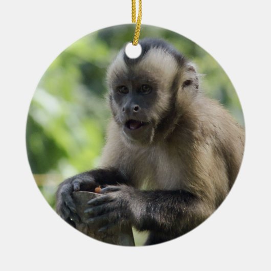 よくはしゃぐな猿のオーナメント セラミックオーナメント (正面)