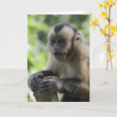 よくはしゃぐな猿の挨拶状 カード (黄色い花)