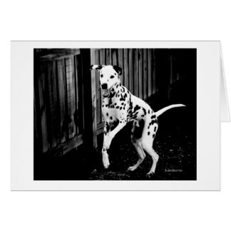 よくはしゃぐなDalmatianカード