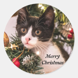 よくはしゃぐクリスマスツリーの白黒猫 ラウンドシール
