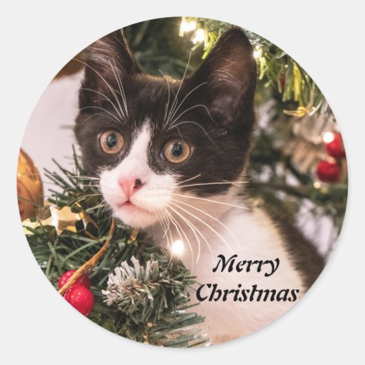 よくはしゃぐクリスマスツリーの白黒猫 ラウンドシール (正面)