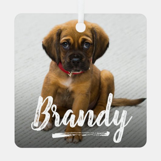 よくはしゃぐレタリングペット写真クリスマス メタルオーナメント (裏面)