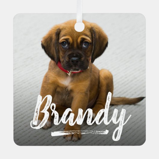 よくはしゃぐレタリングペット写真クリスマス メタルオーナメント (正面)