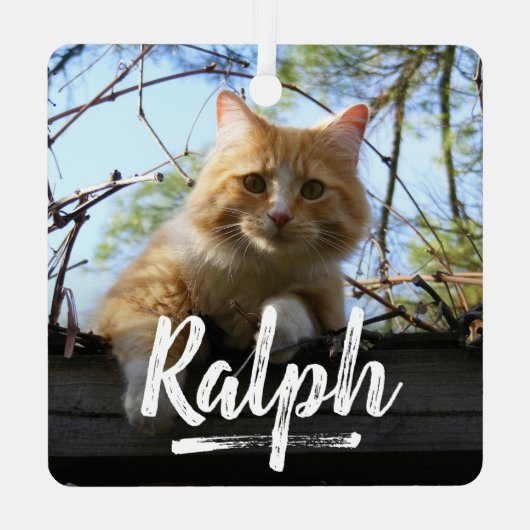 よくはしゃぐレタリングペット写真クリスマス メタルオーナメント (裏面)