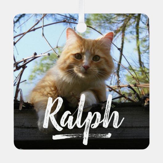 よくはしゃぐレタリングペット写真クリスマス メタルオーナメント (正面)