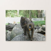 よくはしゃぐ可愛い頭が切れる女のフレンドリー子 ジグソーパズル (横)