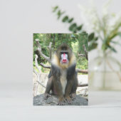 よくはしゃぐ可愛い頭が切れる女のフレンドリー子 ポストカード (スタンド正面)