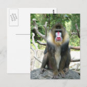 よくはしゃぐ可愛い頭が切れる女のフレンドリー子 ポストカード (正面/裏面)