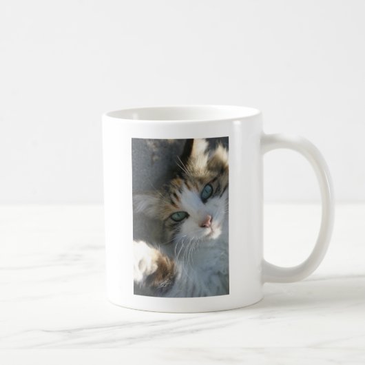 よくはしゃぐ子猫 コーヒーマグカップ (右)