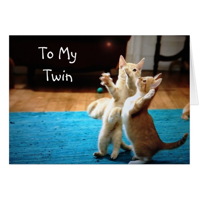 よくはしゃぐ子猫*ハッピーバースデー» (正面横)