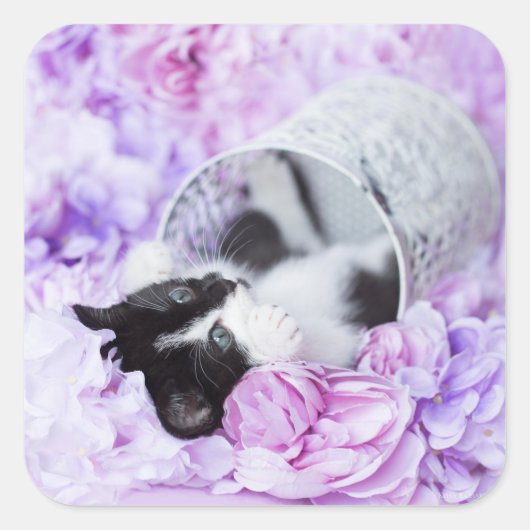 よくはしゃぐ「ピッパ」紫フローラ スクエアシール (正面)