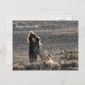 よくはしゃぐ、事前アドレス:インテリアの秒 ポストカード (正面/裏面)