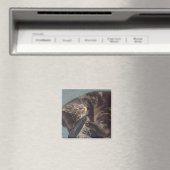 よくはしゃぐDave 5.1 Cm角磁石 マグネット (インサイチュ (食洗機))