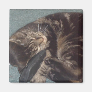 よくはしゃぐDave 5.1 Cm角磁石 マグネット