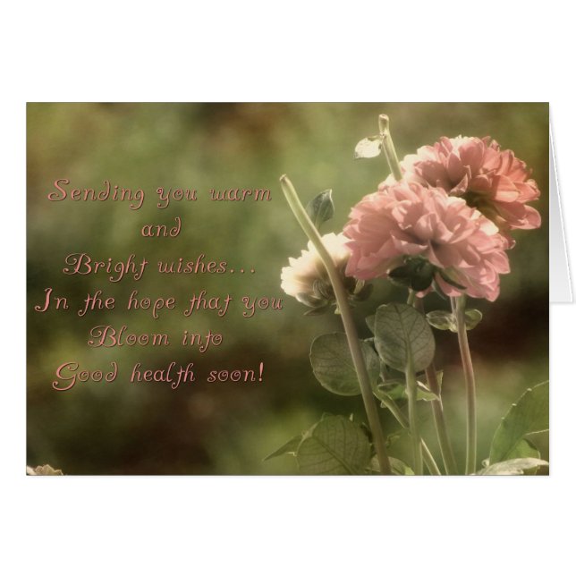 よく咲くダリア (正面横)