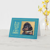 よく治して、犬の座って カード (黄色い花)