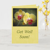 よく黄色の蛾の蘭を取得する – パレノプシス カード (黄色い花)