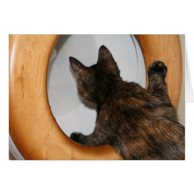 よの感じ! (正面横)