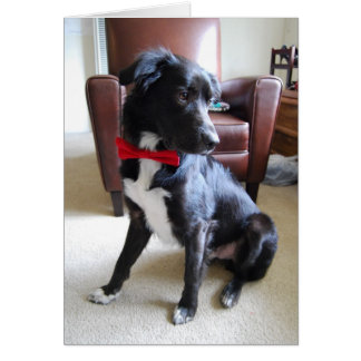 よりすてきなLookin