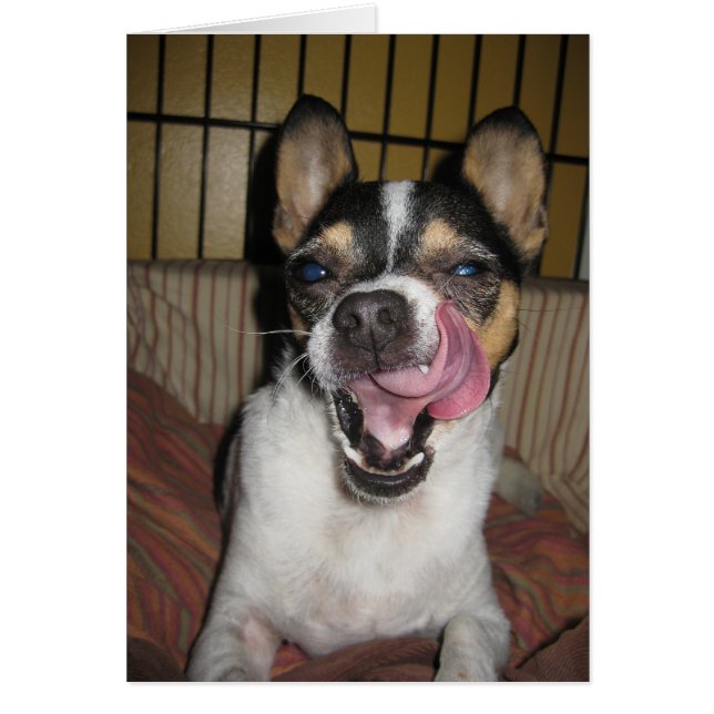 よりよくまだ得ることか。 (正面)