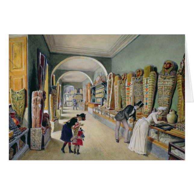 より低いののAmbraserのコレクション (正面横)