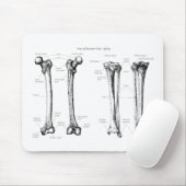 より低い肢の骨 マウスパッド (マウス)