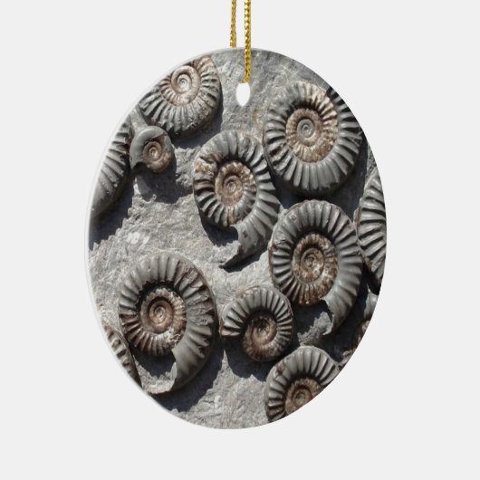 より低いLiasからの数々のな化石のアンモナイト セラミックオーナメント (右)
