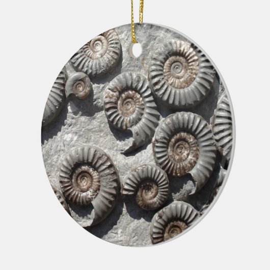 より低いLiasからの数々のな化石のアンモナイト セラミックオーナメント (左)