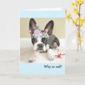 より古いバースデー・カードを得ること カード (黄色い花)