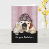 より古くのユーモア、犬なるハッピーバースデー カード (黄色い花)