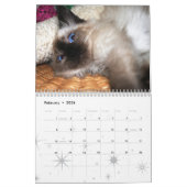 より多くの子ネコ! カレンダー (2月 2026)