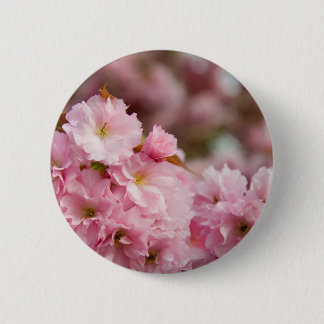 より多くの桜の花 缶バッジ