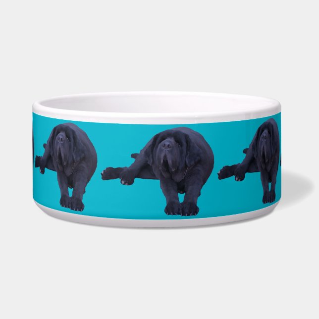 より大きな犬種のペットボウル ボウル (正面)